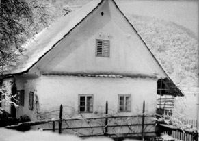 eika image
